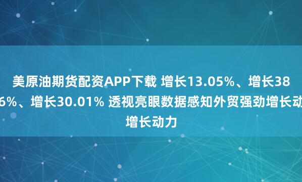美原油期货配资APP下载 增长13.05%、增长38.36%、增长30.01% 透视亮眼数据感知外贸强劲增长动力